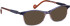 Bellinger JUST-SERENE glasses in Blue/Brown
