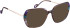 Bellinger LESS-2589 glasses in Brown/Brown