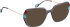 Bellinger LESS-2589 glasses in Grey/Grey