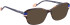 Bellinger LESS-ACE-2587 glasses in Brown/Blue