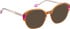 Bellinger LESS-ACE-2588 glasses in Orange/Crystal
