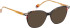 Bellinger LESS-ACE-2611 glasses in Brown/Brown