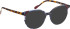 Bellinger LESS-ACE-2613 glasses in Blue/Brown