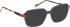 Bellinger LESS-ACE-2614 glasses in Blue/Brown