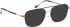 Bellinger LESS-TITANIUM-5 glasses in Grey/Gold