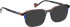 Bellinger STRATOS glasses in Blue/Grey