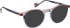 Bellinger TITAN glasses in Crystal/Orange