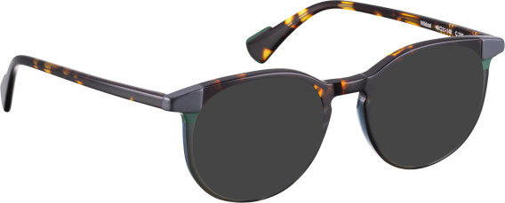 Bellinger WILDCAT glasses in Grey/Brown