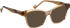 Entourage Of 7 CLEMENTINE glasses in Transparent Brown