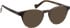 Entourage Of 7 FIELD glasses in Green