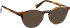 Entourage Of 7 FIELD glasses in Tortoise