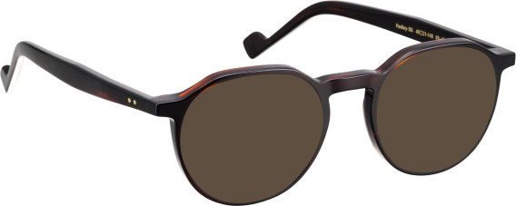 Entourage Of 7 HADLEY-SK glasses in Tortoise