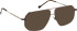 Entourage Of 7 HANZO glasses in Brown