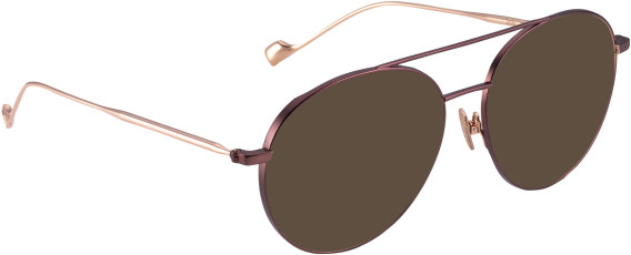 Entourage Of 7 JINTO glasses in Brown/Copper
