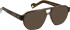 Entourage Of 7 PALM-VIPER-4 glasses in Brown/Brown