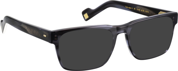 Entourage Of 7 PALM-VIPER-5 glasses in Grey/Grey