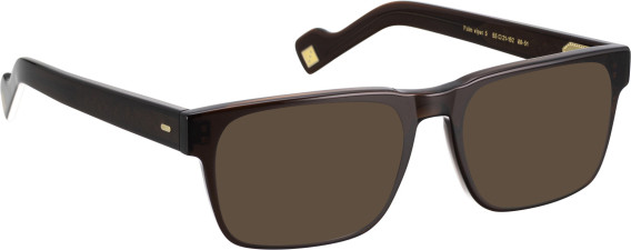 Entourage Of 7 PALM-VIPER-5 glasses in Brown