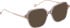 Entourage Of 7 SAFFRON glasses in Clear Grey/Gold