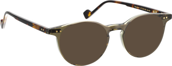 Entourage Of 7 THEODORE glasses in Green/Brown