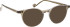 Entourage Of 7 THEODORE glasses in Clear Brown