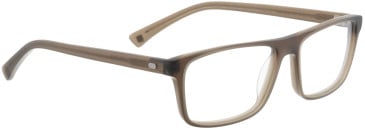 ENTOURAGE OF 7 BRADLEY glasses in Milky Brown
