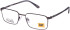 CAT CTO-3108 glasses in Grey