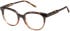 Eyestuff ESO-422 glasses in Tortoise