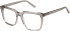 Eyestuff ESO-424 glasses in Clear Grey