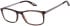 O'Neill ONO-4597 glasses in Tortoise