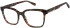 Radley RDO-6066 glasses in Tortoise Green