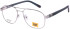 CAT CTO-3132 glasses in Silver