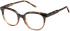 Eyestuff ESO-422 glasses in Tortoise