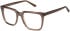 Eyestuff ESO-424 glasses in Brown
