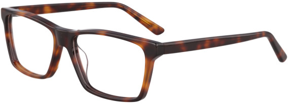 Eyestuff ESO-428 glasses in Tortoise