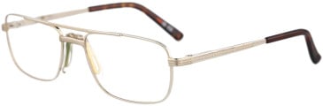 Hero HRO-4348 glasses in Gold