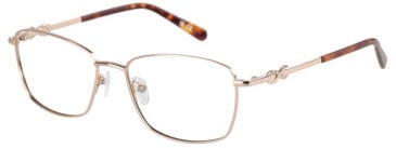 Puccini PCO-358 glasses in Gold