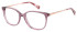 Puccini PCO-359 glasses in Purple