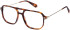 Superdry SDO-3066 glasses in Tortoise