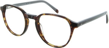United Colors of Benetton BEO1177 glasses in Brown Havana
