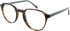 United Colors of Benetton BEO1177 glasses in Brown Havana