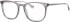 Colt 3553 glasses in Grey