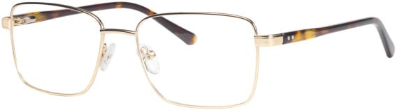 Elite 4705 glasses in Gold