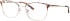 Ferucci F1836 glasses in Brown
