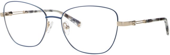Ferucci F1838 glasses in Blue/Gold