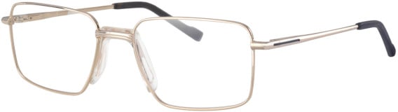 Ferucci F2050 glasses in Gold