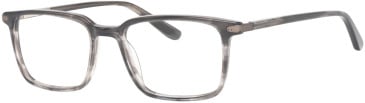 Ferucci F2209 glasses in Grey