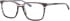 Ferucci F2210 glasses in Grey