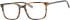 Ferucci F2212 glasses in Brown