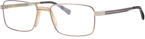 Ferucci FT-726 glasses in Brown/Gold