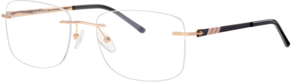 Ferucci FT-735 glasses in Black/Gold